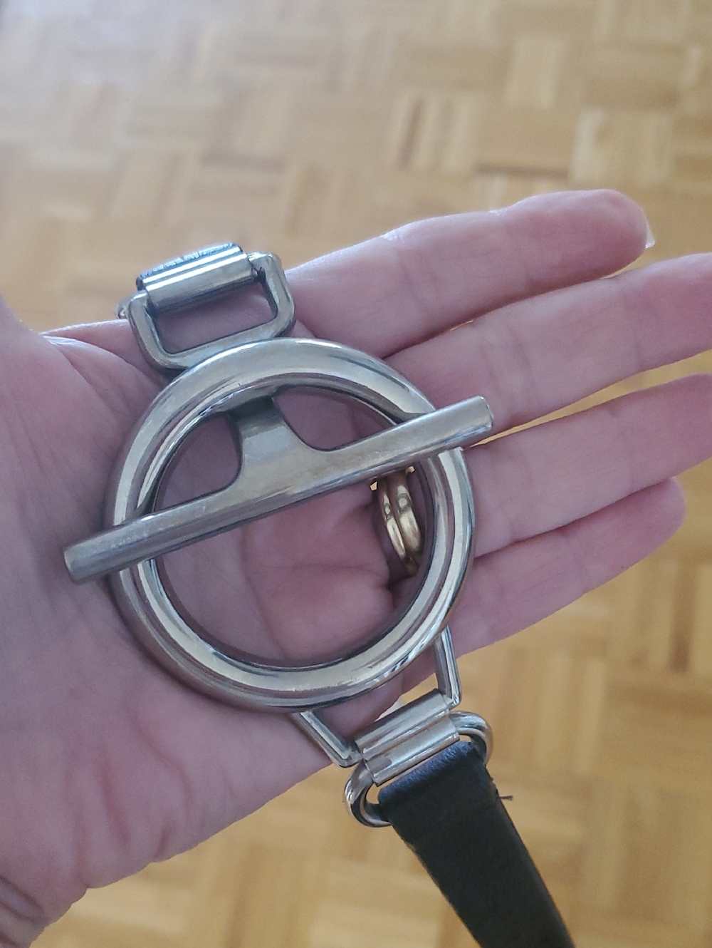 Horsebit Belt with Silver Ring Toggle Accent